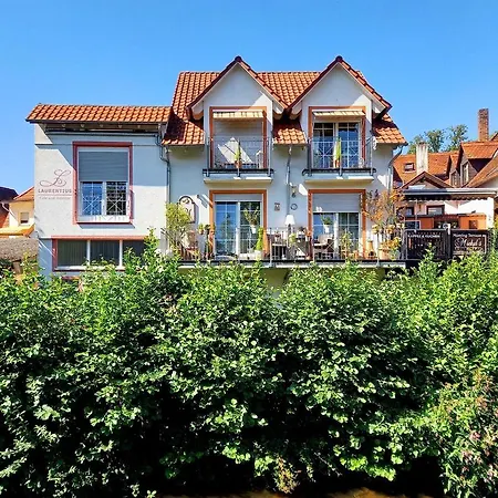 Muemling Apartments Homestay Erbach (Odenwaldkreis)